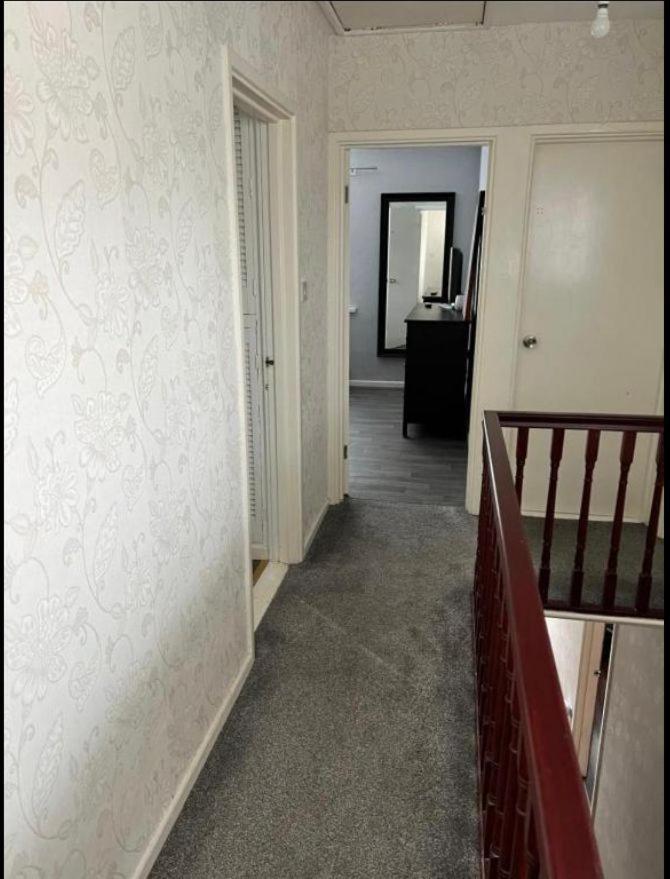 Macs Belfast Single Bedroom Kültér fotó